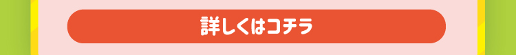 ミラーメイズ 詳しくはコチラ