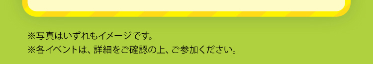 写真はイメージです。